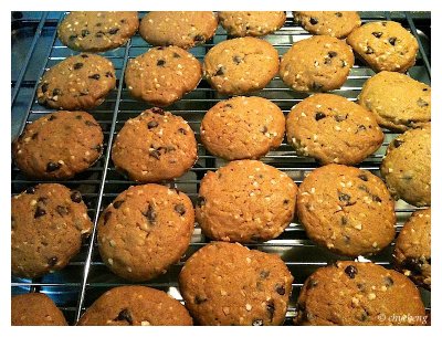 Cookie army from the oven