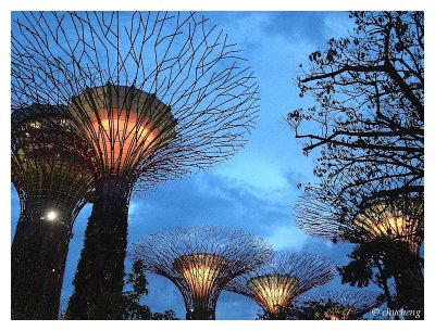 Giant 'tree' near Marina Sand