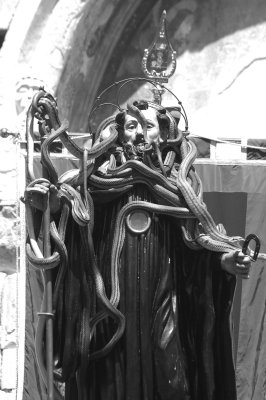 San Domenico e le serpi 2011. Cocullo Abruzzo Italy 47.JPG