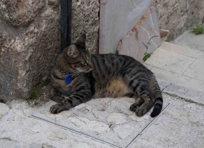 Dopo il terremoto - After earthquake