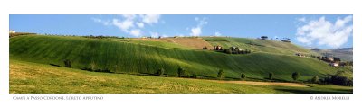 CAMPI