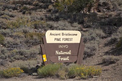 Sign marking the begining of the forest