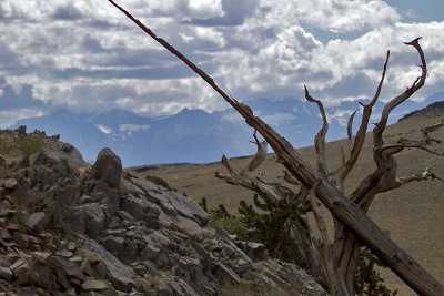 Lookung West towards the Eastern Sierras.