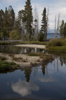 Pine Tree Lodge State Park