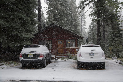 Snow on the cabin