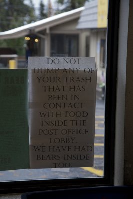 Bears have broken into the Post Office!