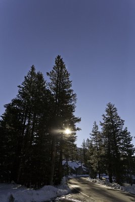 Snowy landscape on the way