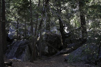 fallen-boulders02.jpg