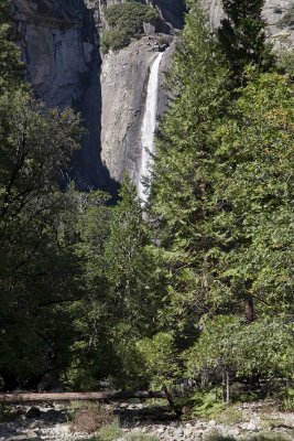 lower-yosemite-falls05.jpg