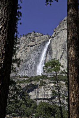 lower-yosemite-falls06.jpg