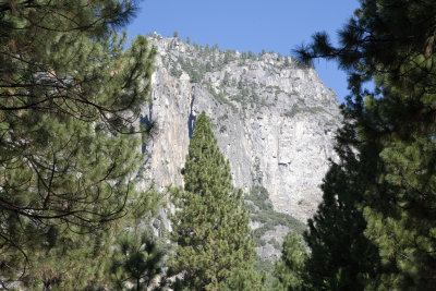 yosemite-valley-looking-up01.jpg
