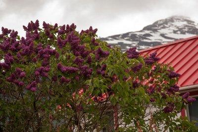 Skagway