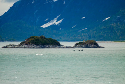 Glacier Bay