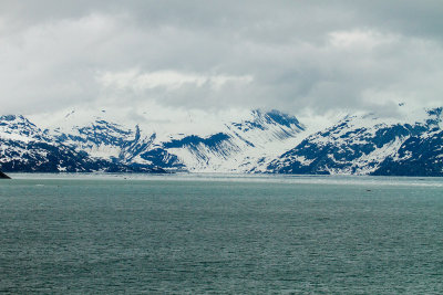 Glacier Bay - Day Six