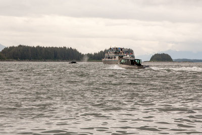 Juneau bay