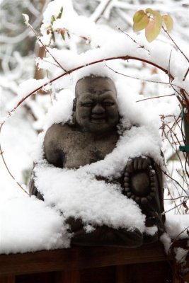 Buddha is a bit cold