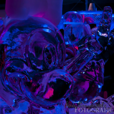 DSC_2110em.jpg