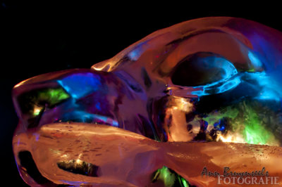 DSC_2143_2em.jpg