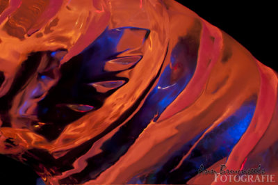 DSC_2153_2em.jpg