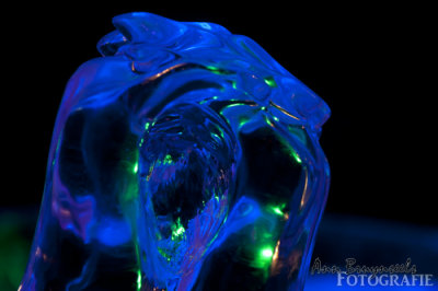 DSC_2276em.jpg