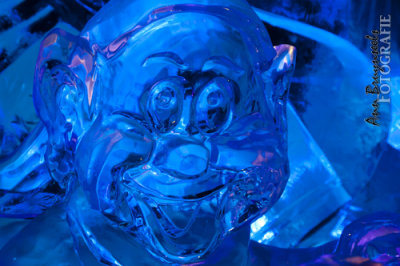 icewonderland