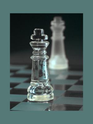 chess / schaakmat