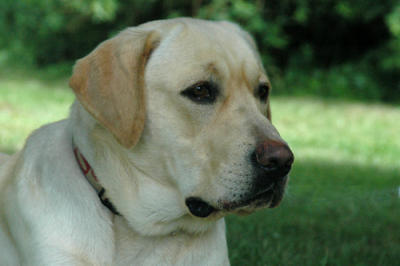 ab_4212.jpg