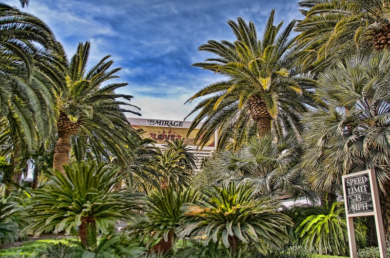 Las Vegas Mirage