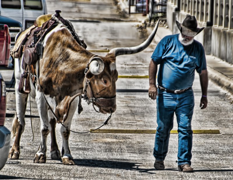 Only In Texas