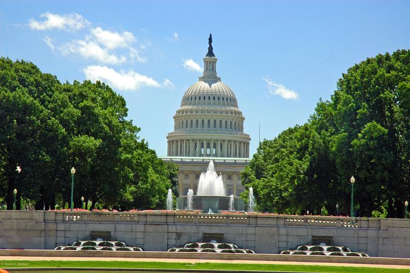 A Capitol View