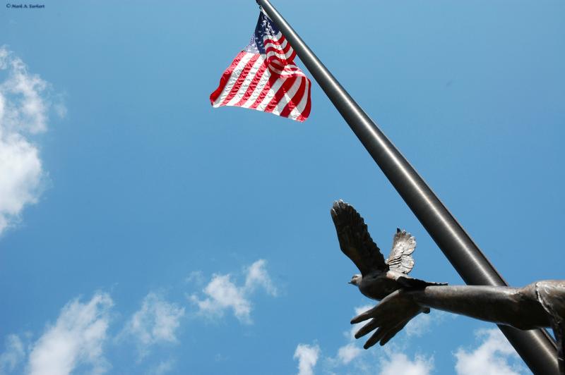 Freedom Takes Flight