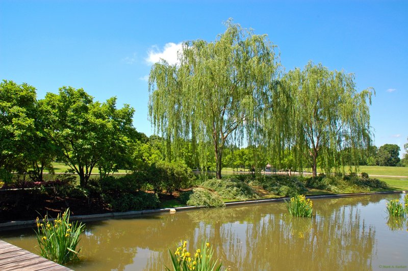 Oasis In The Heart Of D.C.