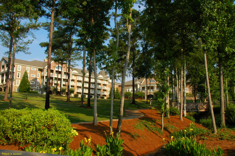 On The Grounds Of The Ritz Carlton
