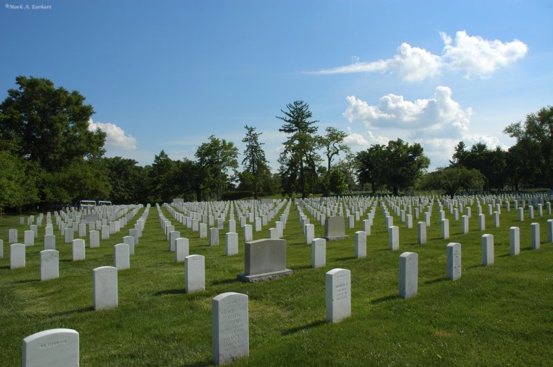 Arlington Cemetary