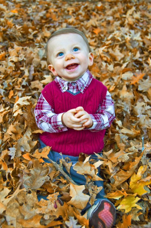 Blue Eyed Boy & Fallen Leaves