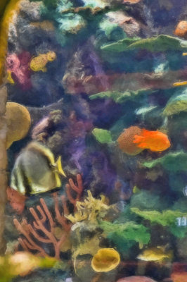 Aquarium Mirage