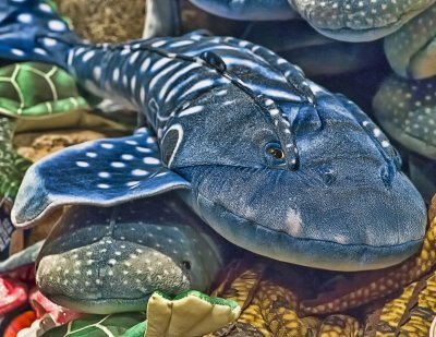 Shark Plush