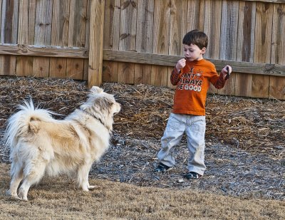 Teasing The Dog 1