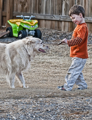 Teasing The Dog 2