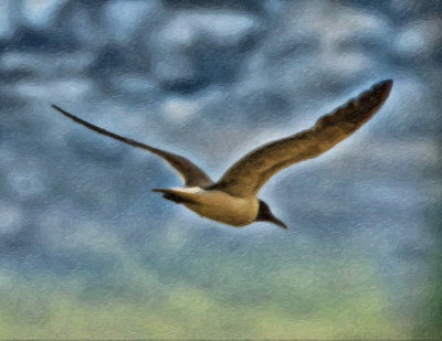 Flying In The Wild Blue Yonder (Impasto)
