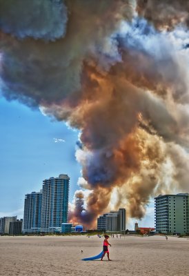 Gulf State Park Grass Fire 3
