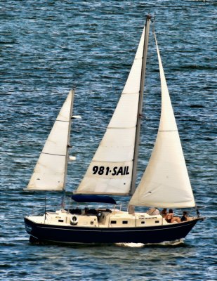 For A Good Sail, Call...