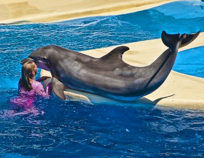 Love Thy Dolphin