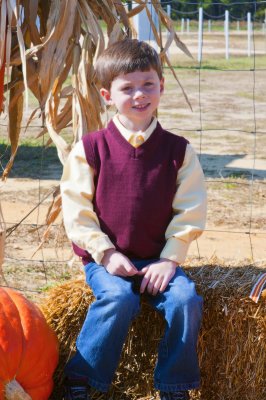 Pumpkin Patch 1