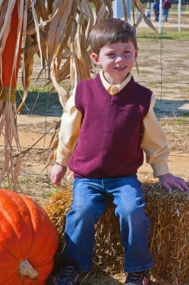 Pumpkin Patch 2