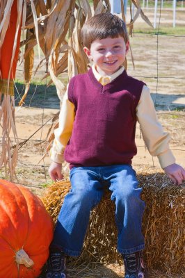 Pumpkin Patch 3