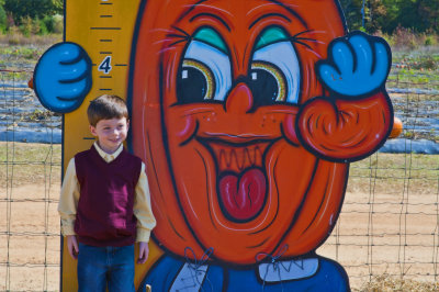 Pumpkin Patch 5