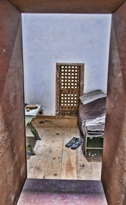 A View To A Cell