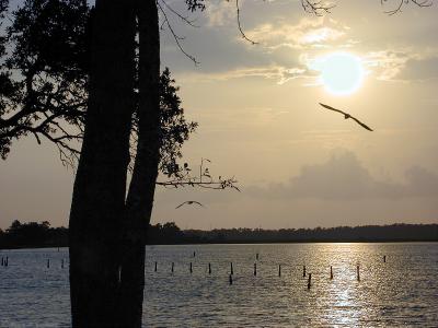 Sunset Orange Beach, Alabama (#1 in a series)