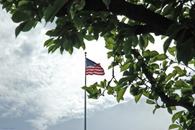 Arlington National Cemetary Flag